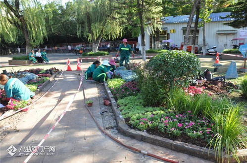 以賽促練強(qiáng)技能 匠心鑄就城市美——資陽市園林綠化管理處成功舉辦第十四屆“十萬職工大練兵、大比賽、技藝大比武”活動